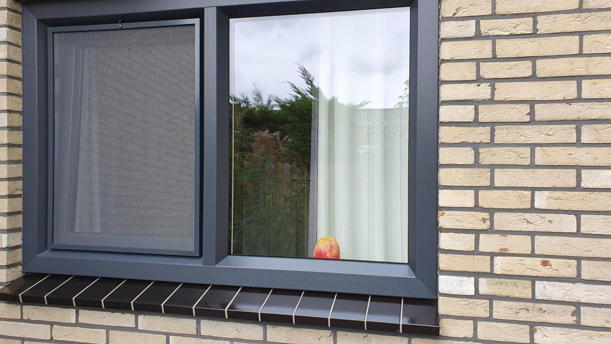 Luxe Vakantiebungalow Met Omheinde Tuin Voor Hond En Kinderen Dirkshorn Exterior photo
